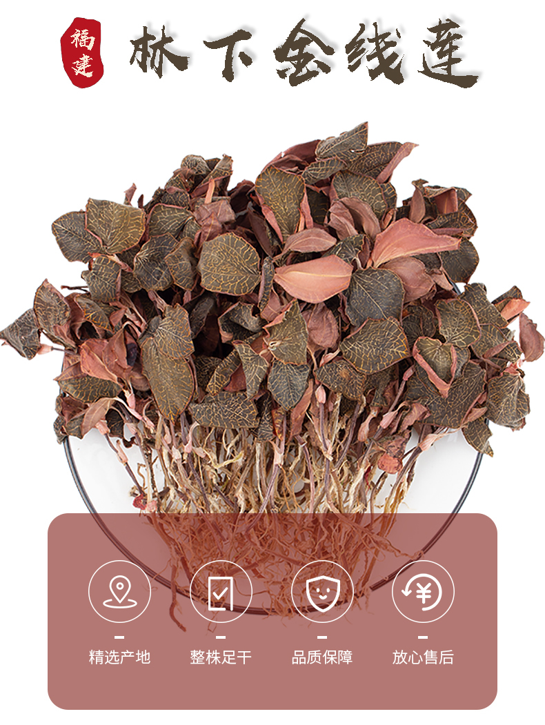 正宗林下<a href=http://xyldsj.com/ target='_blank'>金線蓮</a>干品