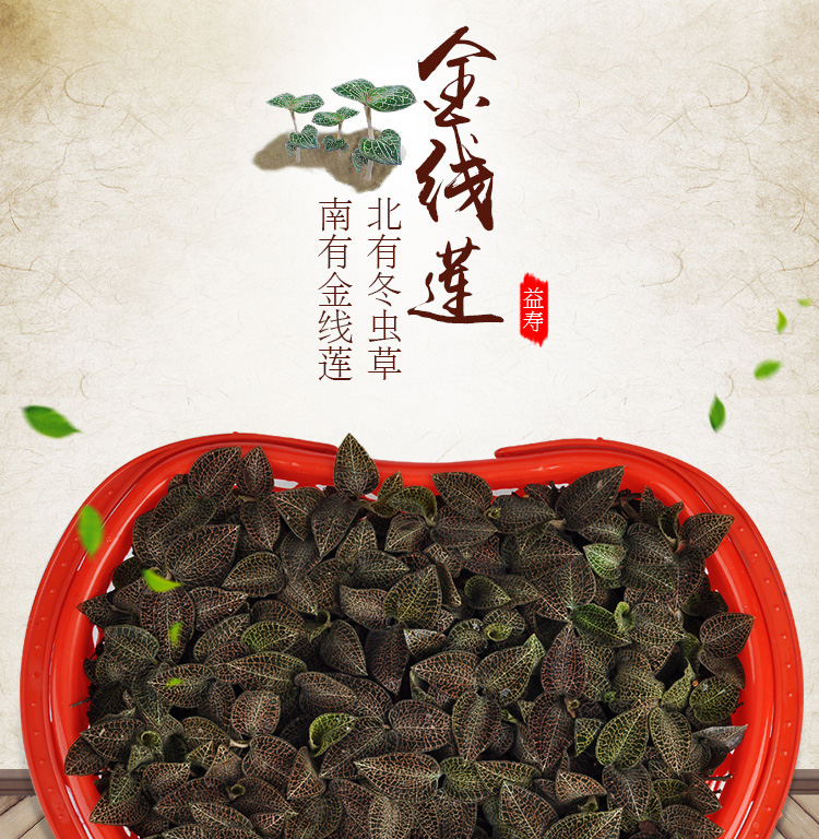 <a href=http://xyldsj.com/ target='_blank'>金線蓮</a>鮮品 籃裝